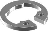 Retaining rings for bores