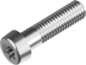 TX socket cheese head screws, low head
